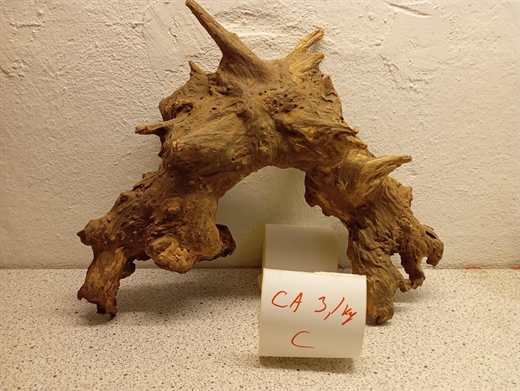 Savanna wood - (ca.3,1kg)  - Unik trærod C